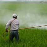 Угрозы пестицидов
