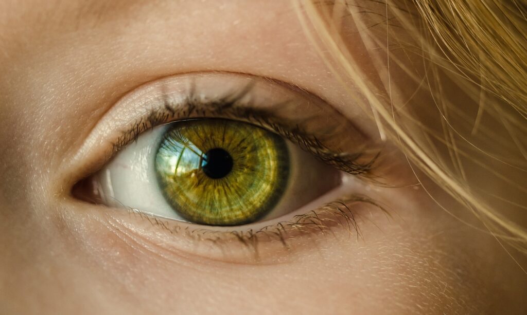 Здоровье глаз и вегетарианство